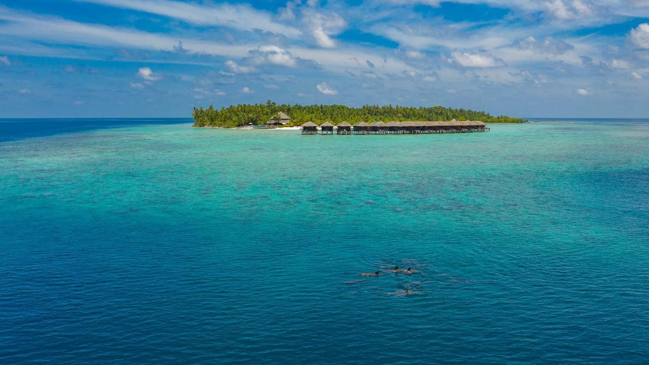 Filitheyo Island Resort Exterior foto